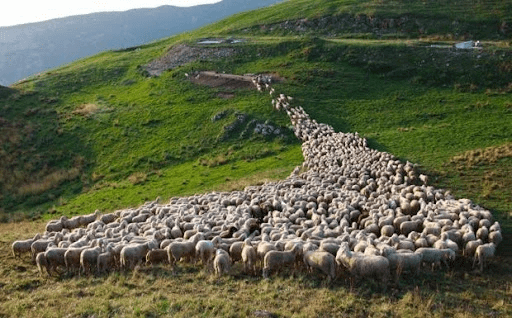 “Non avrai nulla e sarai&nbsp;felice”…