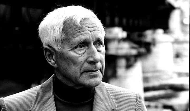 Il lupo tra le pecore, il&nbsp;Ribelle