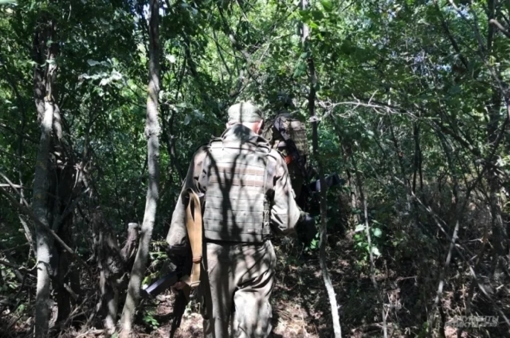 Situazione nella zona SVO il 29 maggio 2025: le forze armate russe si avvicinano a Sumy e al&nbsp;Dnepr